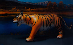 Siberian Tyger (Limited Edition)