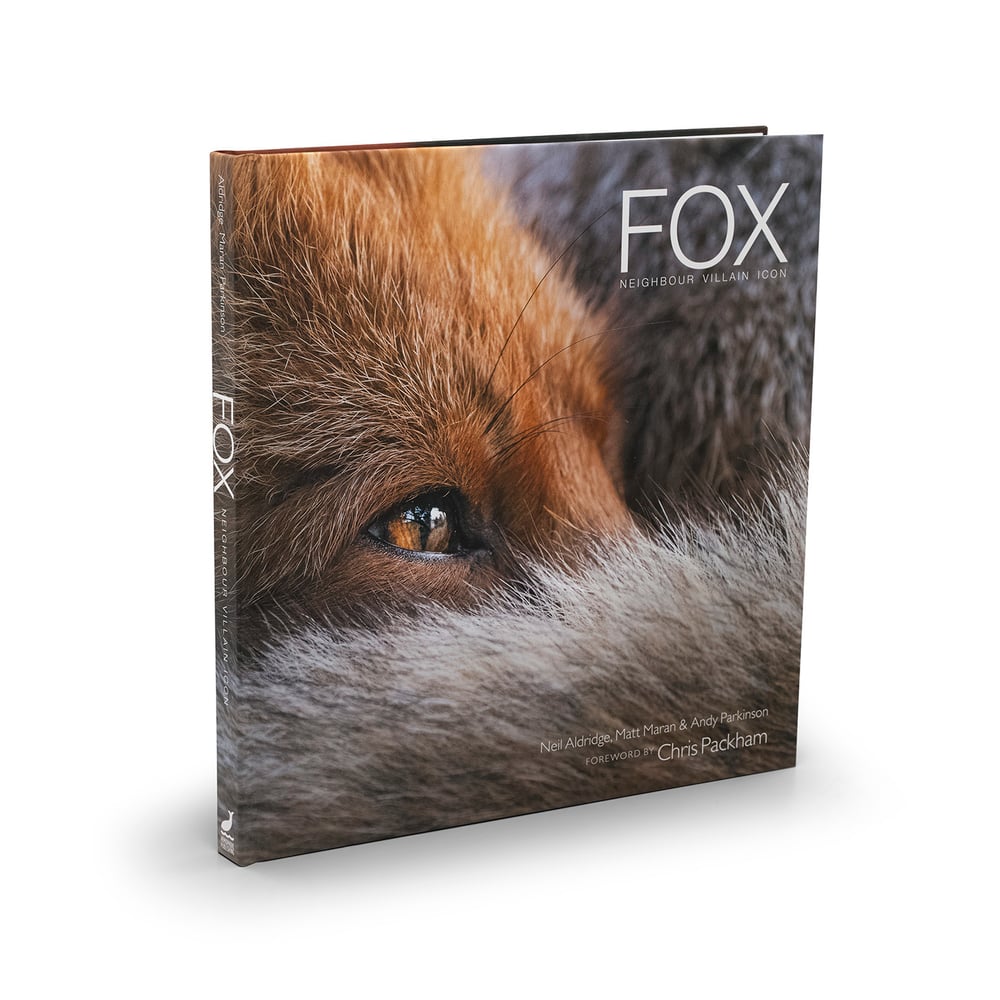 Fox Neighbour Villain Icon: Matthew Maran Photography